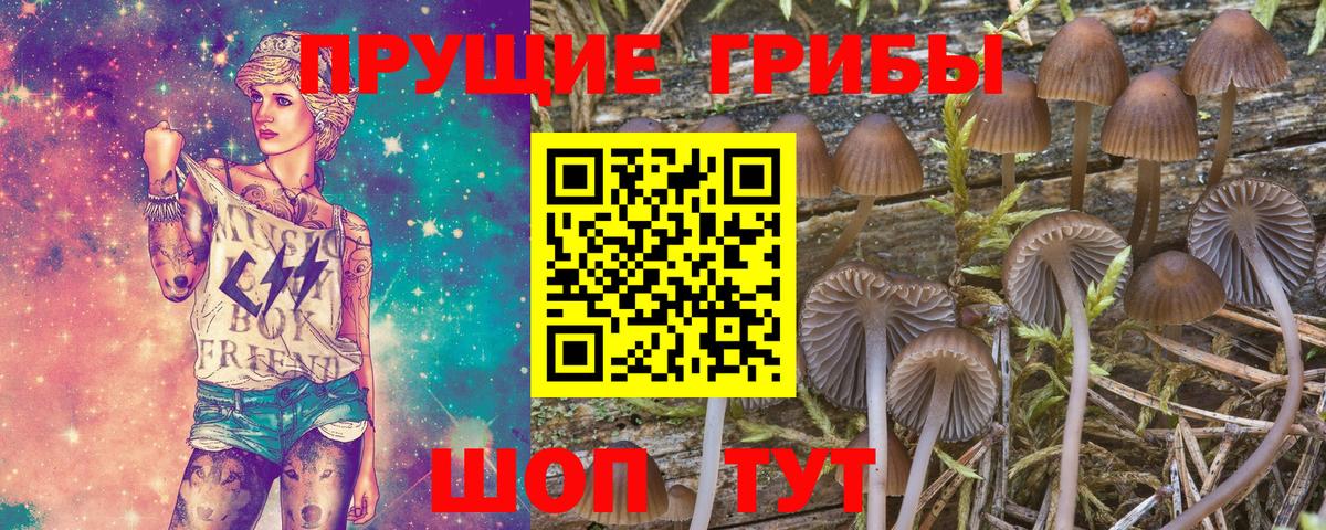 Кашира  Псилоцибиновые грибы Magic Shrooms  Галлюциногенные грибы прущие грибы  Вход с VPN 